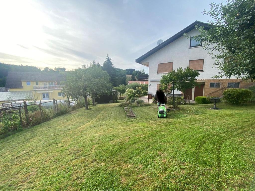 Ferien- Und Monteurwohnung Zum Waldblick Exterior foto